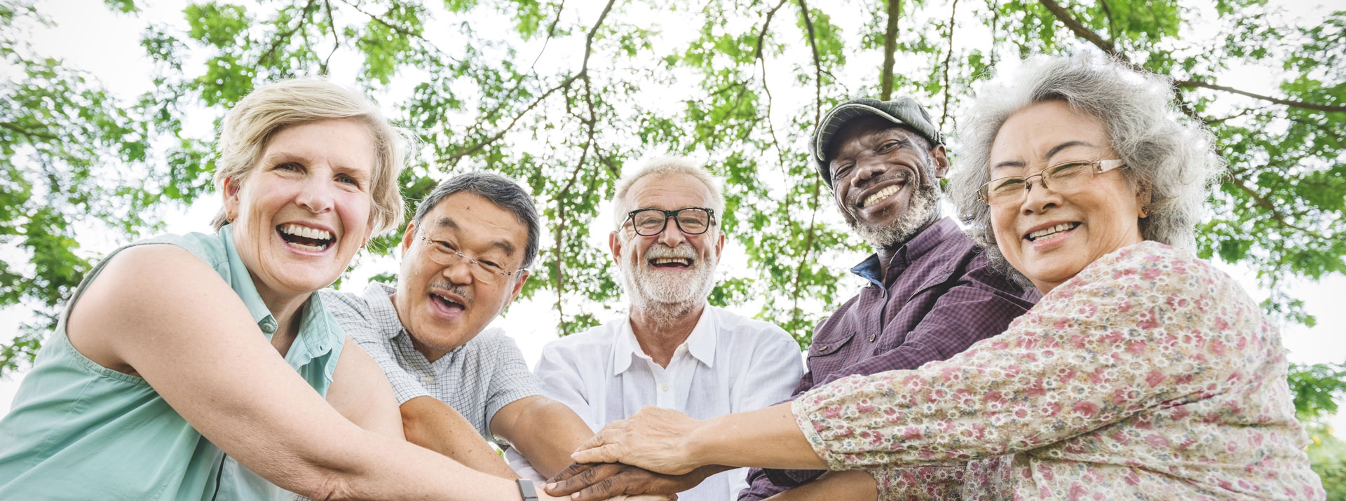 Arkansas Association of Area Agencies on Aging Senior Services