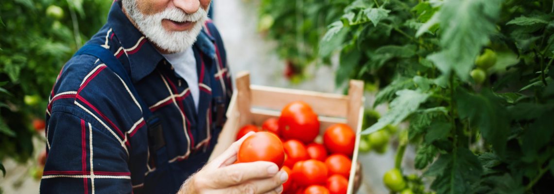 Top 4 Nutrition Resources for Seniors in Arkansas