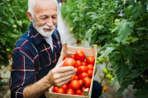 Top 4 Nutrition Resources for Seniors in Arkansas